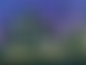 Se le tuercen las transacciones al mal