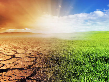 Antídoto para el desánimo