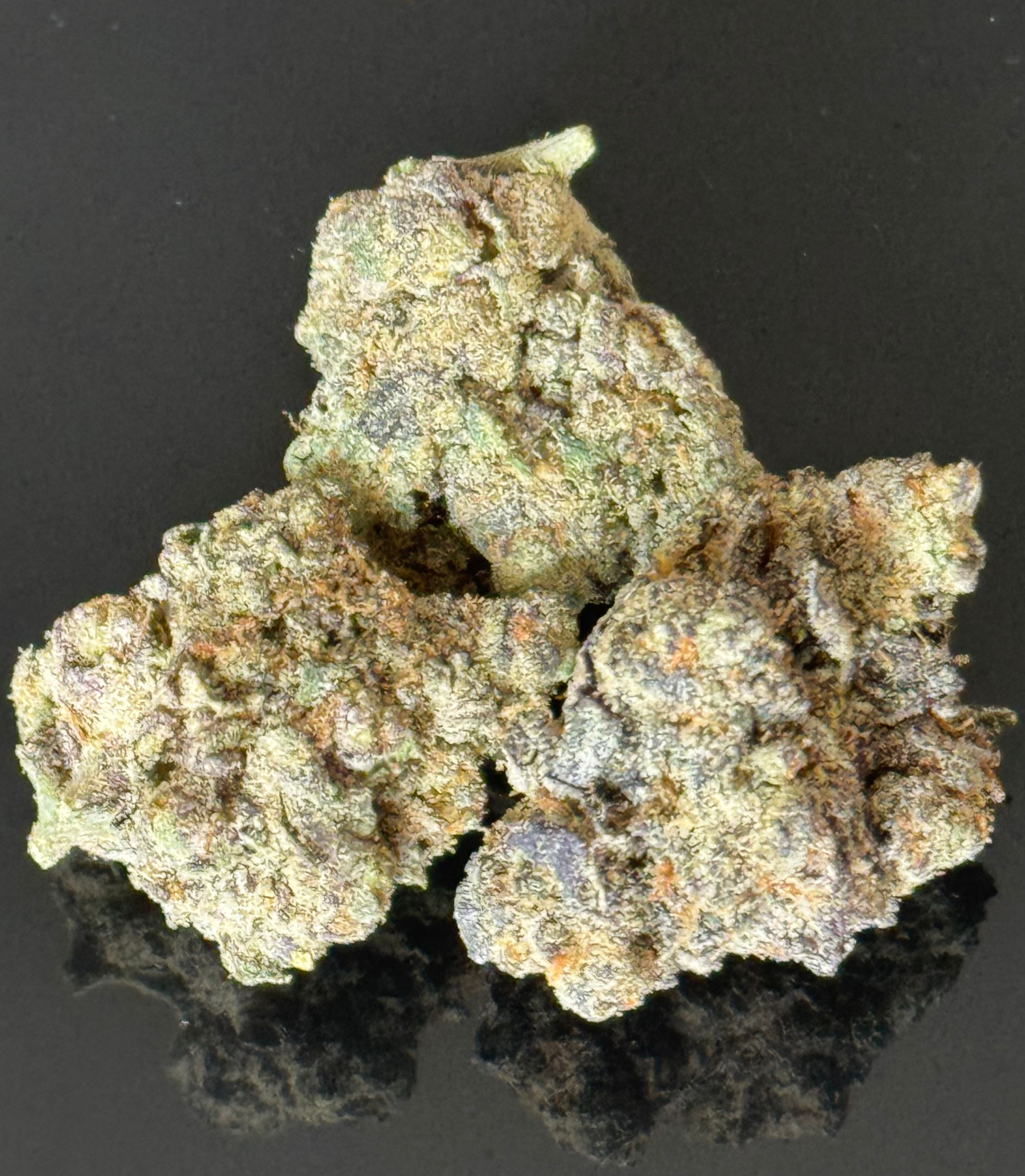 Purple Envy