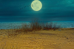 294277817_10224781571398886_5725595412534197922_n