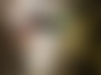 Inspektion begehbarer Kanäle mittels Spezialdrohne