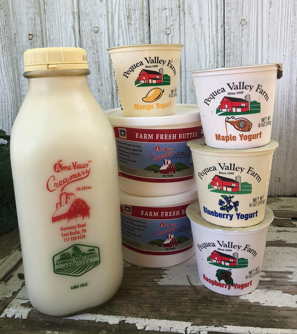 milk%2C%20butter%2C%20yogurt_edited