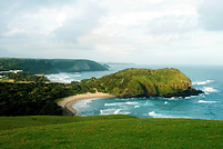 Wild Coast