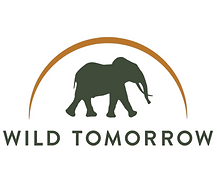 Wild Tomorrow
