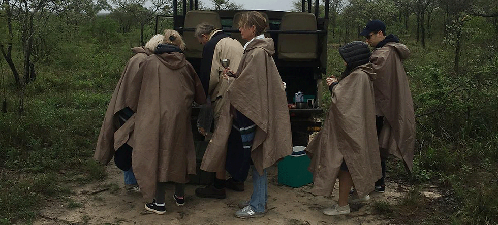 Een regenachtige safari in Zuid-Afrika