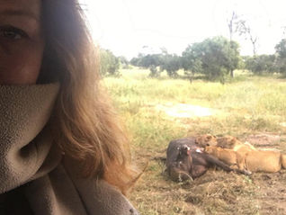 In Zuid-Afrika is elke dag een dierendag
