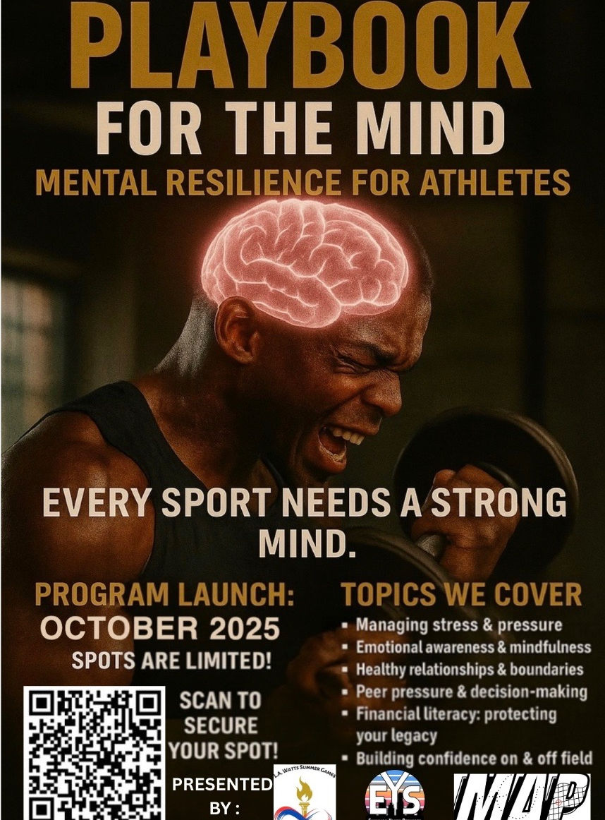 Playbook for The Mind Flyer (2).jpeg