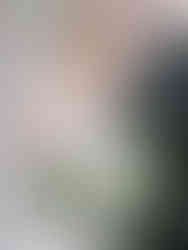 Bride and groom kiss joyfully, bride in lace dress with veil and bouquet of white flowers, groom in black suit. Elegant wedding scene.