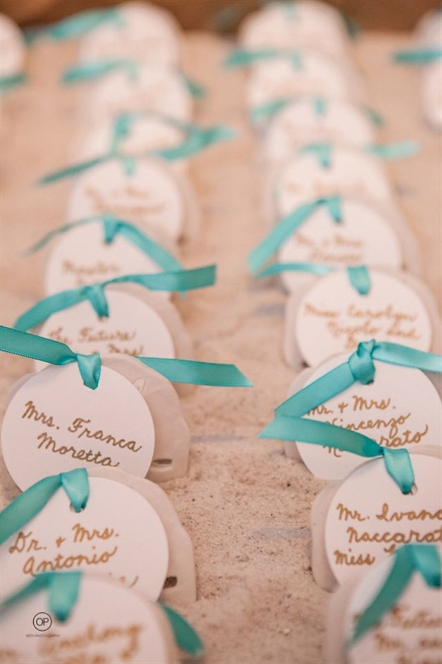 escort card sand dollars