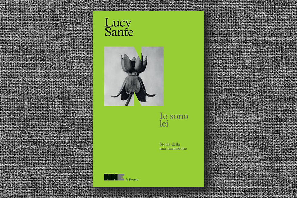 Libro io sono lei di Lucy Sante