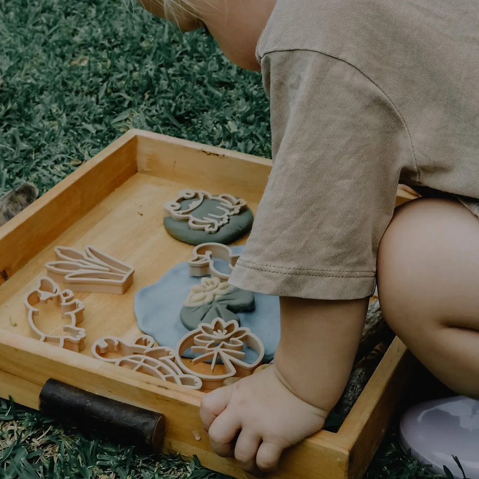 Thumbnail: Pond Life Playdough Cutter Set for Kids - Sensory Regulation and Creative Play