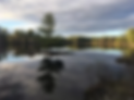717e4643bffeaa163272bddfae3f6afc-cc_ft_768.webp