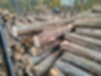 image0 (1).jpeg