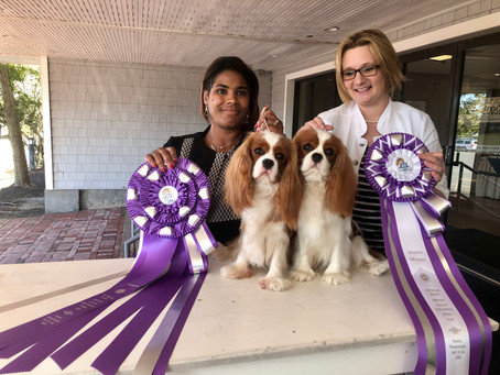 Fun at the 2019 National Specialty