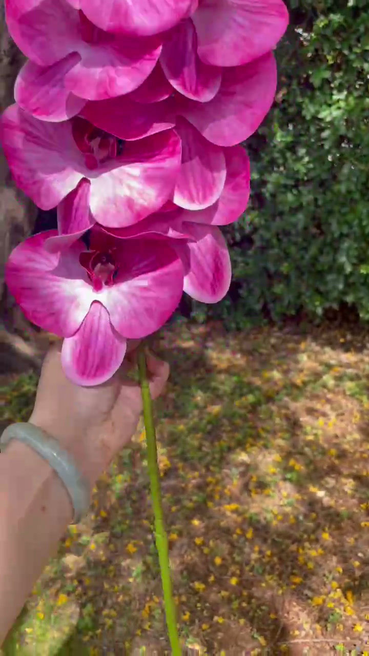 Thumbnail: Pink real-touch artificial Orchid | 75cm