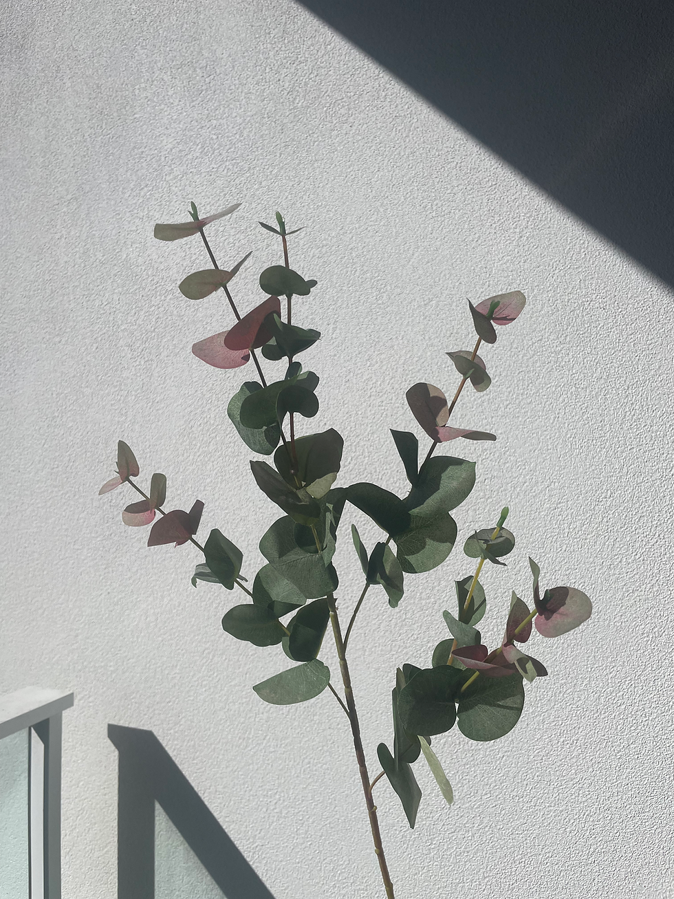 Thumbnail: Pink real-touch artificial Eculyptus | 87cm