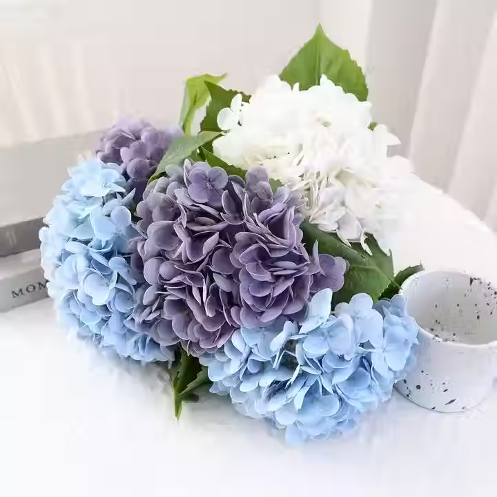 Hydrangea