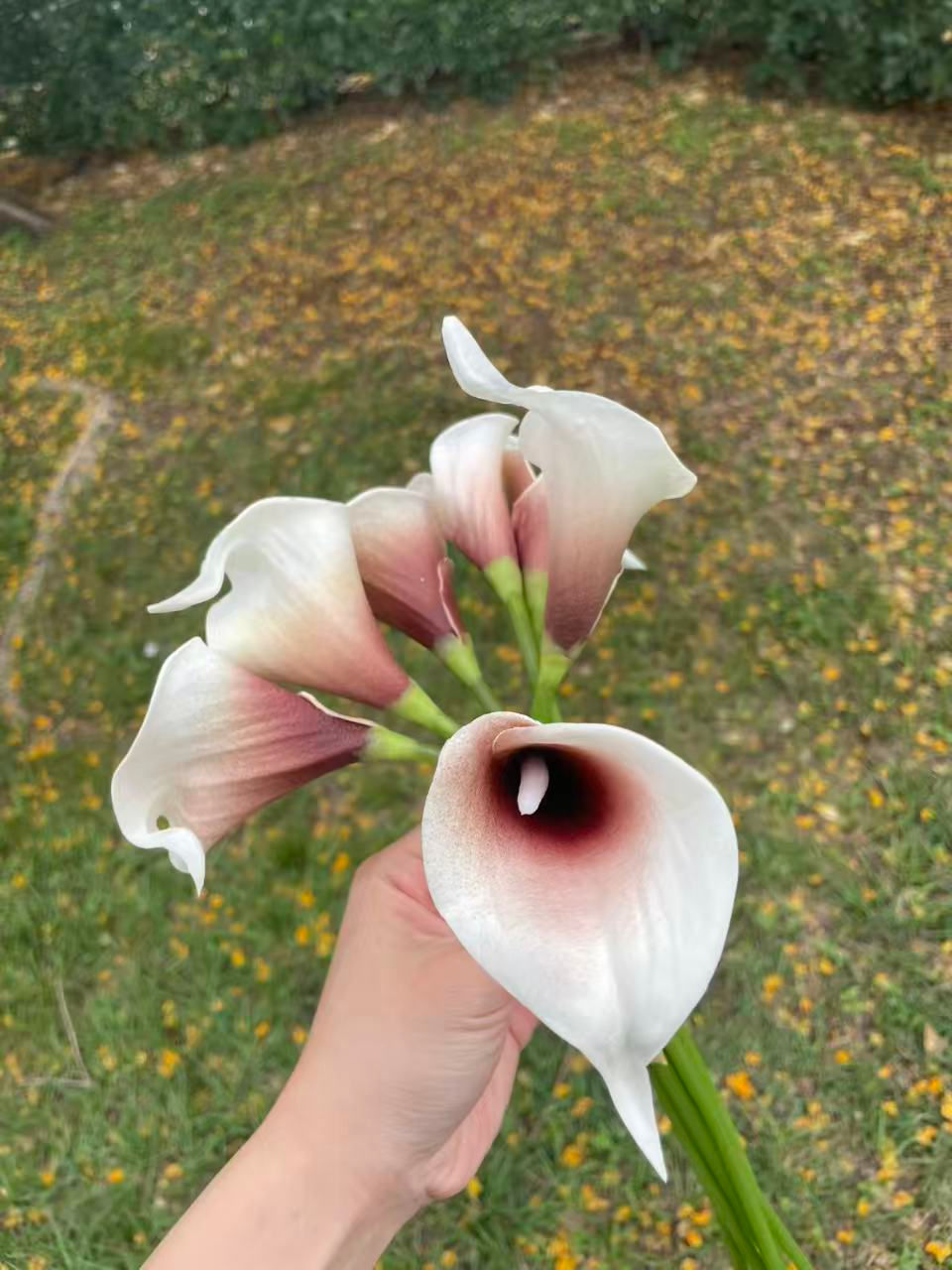 Thumbnail: Red-heart real-touch artificial Calla Lily bunch of 7 stems| 36cm