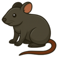 Untitled (300 x 300 px) (9).png