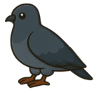 Untitled (300 x 300 px) (3).png