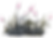Wild Flower 6.PNG
