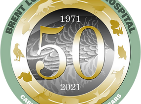 Happy 50th anniversary Brent Lodge Wildlife Hospital .png