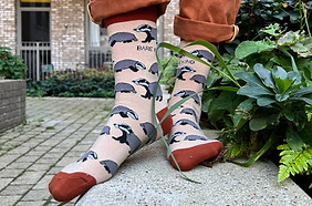 BADGER SOCKS.jpg