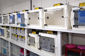 New incubators 21.png