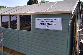 BLWH Patient Recovery Shed.jpg
