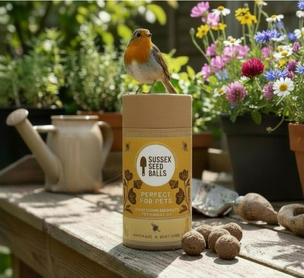 a robin on a pack of wildflower seeds