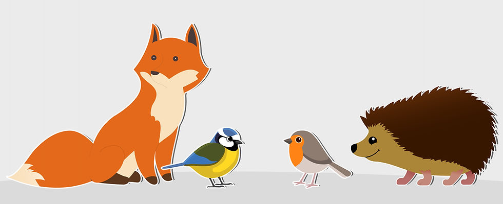 An image of the 4 animal designs. A fox, hedgehog, blue tit, robin.