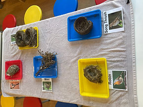 natural resources ed visit