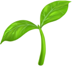 Want to grow?