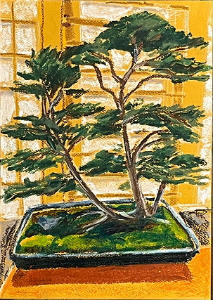 Bonsai!.jpg