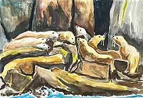 Seals In Seward.jpg
