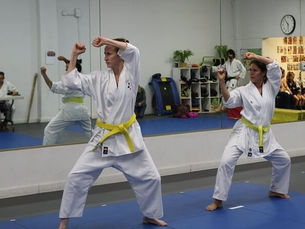 A Complete Guide to Mixed Martial Arts for Beginners