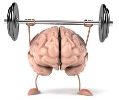 Il cervello deve faticare per non impigrirsi!