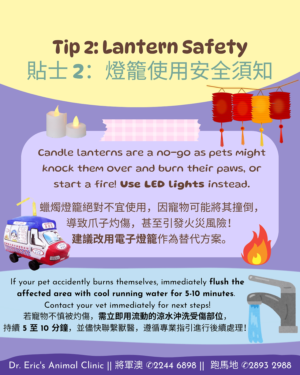 Lantern safety tips poster advising against candle lanterns and suggesting LED lights. Includes emergency burn instructions and clinic contact info.