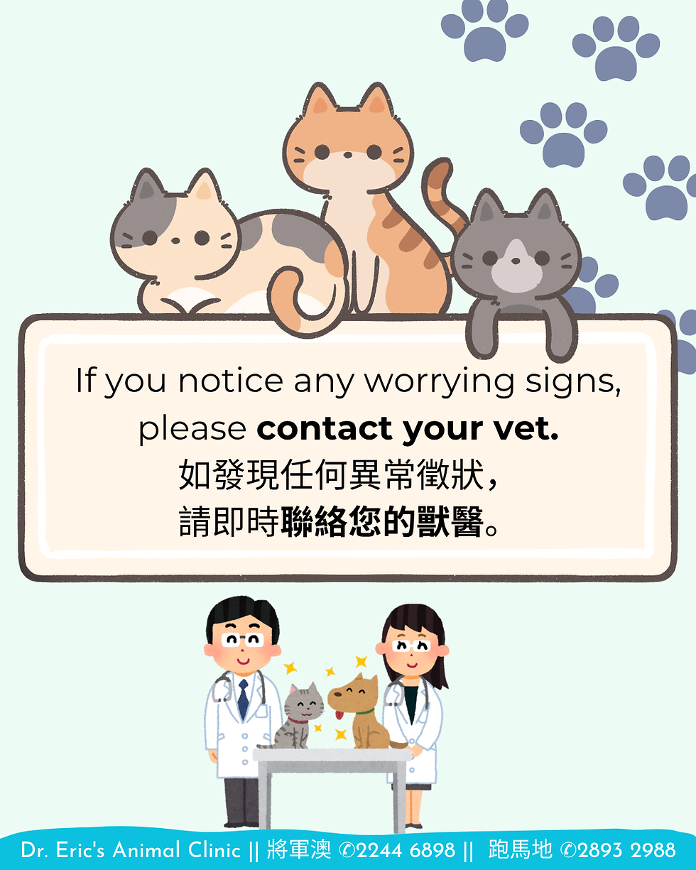 Three cartoon cats on a sign reading contact your vet; paw prints float above, and two vets with a cat and dog stand below.