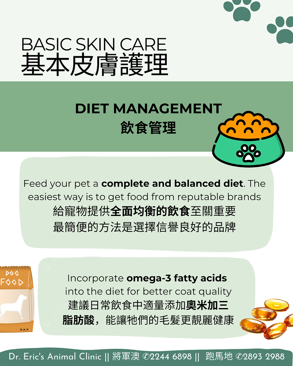 🐾✨Pet Skin Care Tips ✨🐾