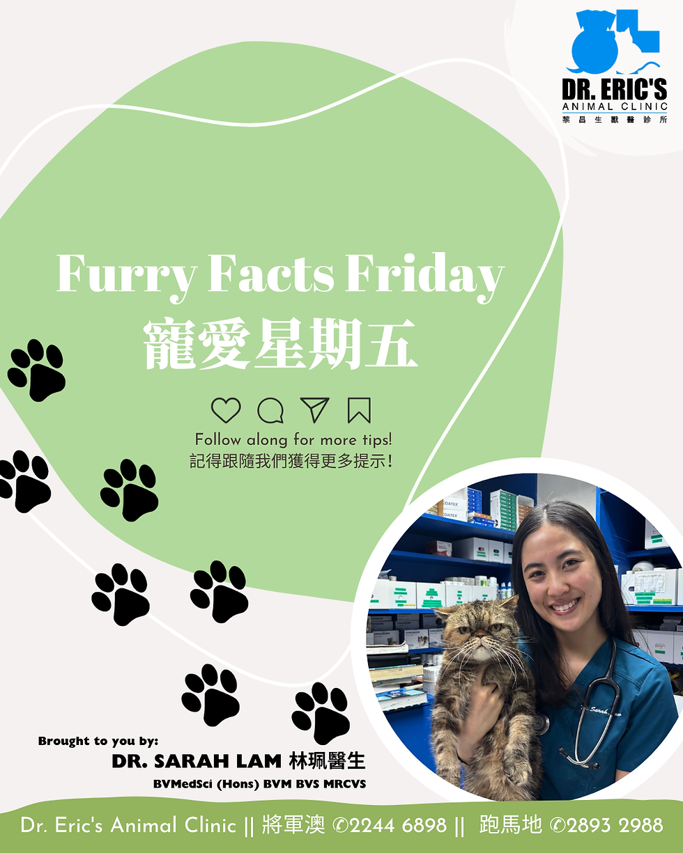 Smiling vet holds a fluffy cat in a clinic. Text reads "Furry Facts Friday". Green and white background with paw prints and contact info.