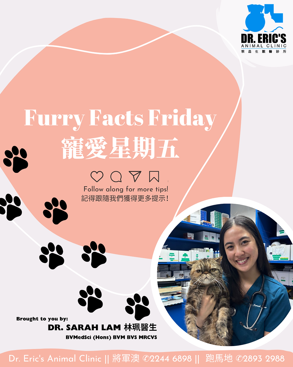 Poster for Dr. Eric's Animal Clinic, Furry Facts Friday, with vet Sarah Lam holding a cat and paw prints.