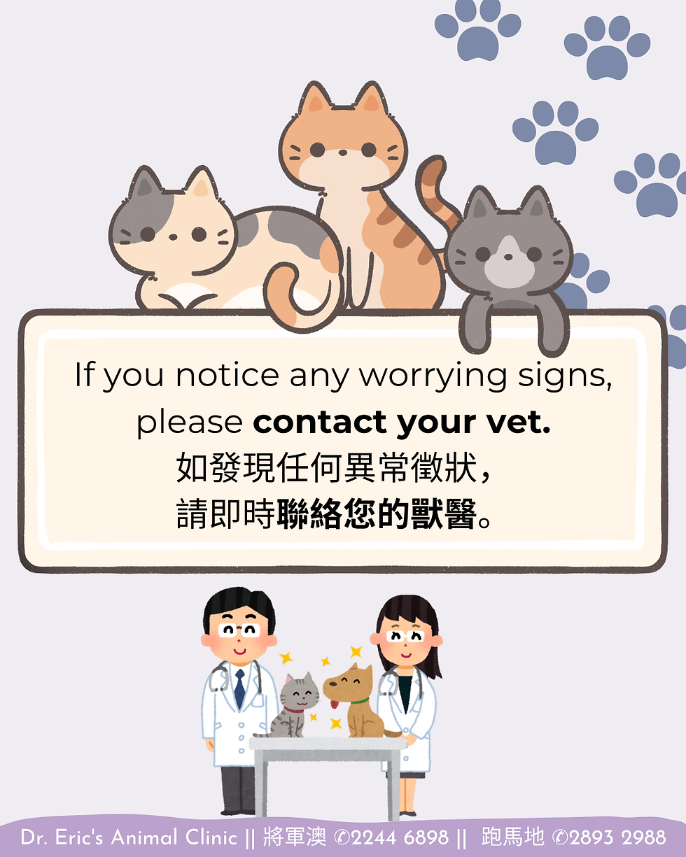 Three cartoon cats above a vet warning sign; below, two veterinarians treat a cat and dog. English and Chinese contact info.
