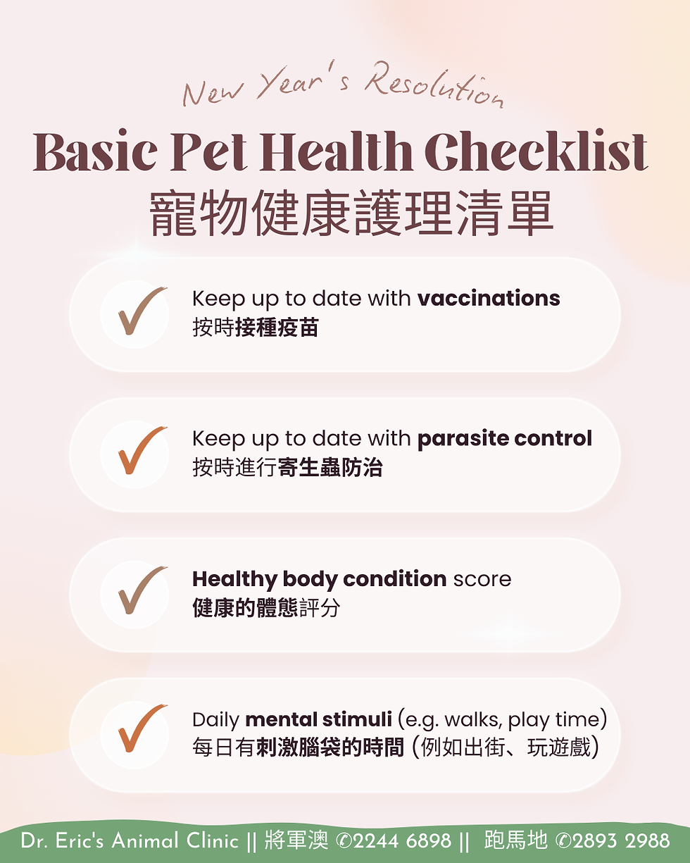 Pet health checklist with a beige background includes tips: vaccinations, parasite control, body condition score, mental stimuli. Dr. Eric’s Animal Clinic details below.