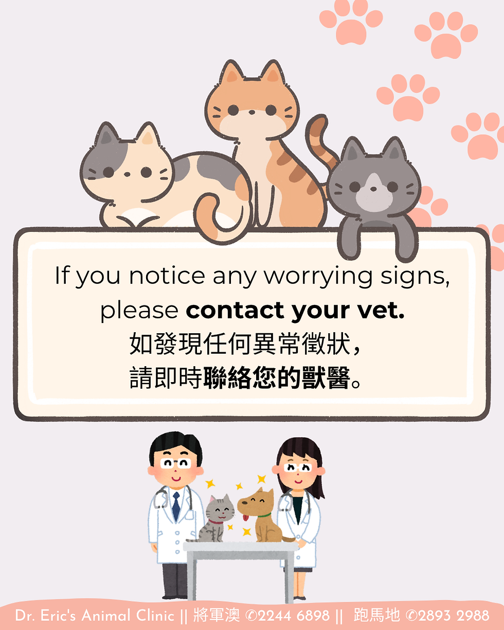 Cute cats above a sign saying please contact your vet; vets and a cat and dog stand below on a soft pastel clinic poster.