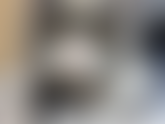 🐱 Cat Parents Must Know: Feline Panleukopenia (FPV) 🦠‼️