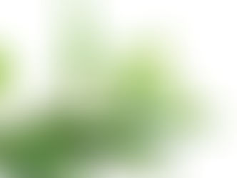 Beneficios del Eucalyptus