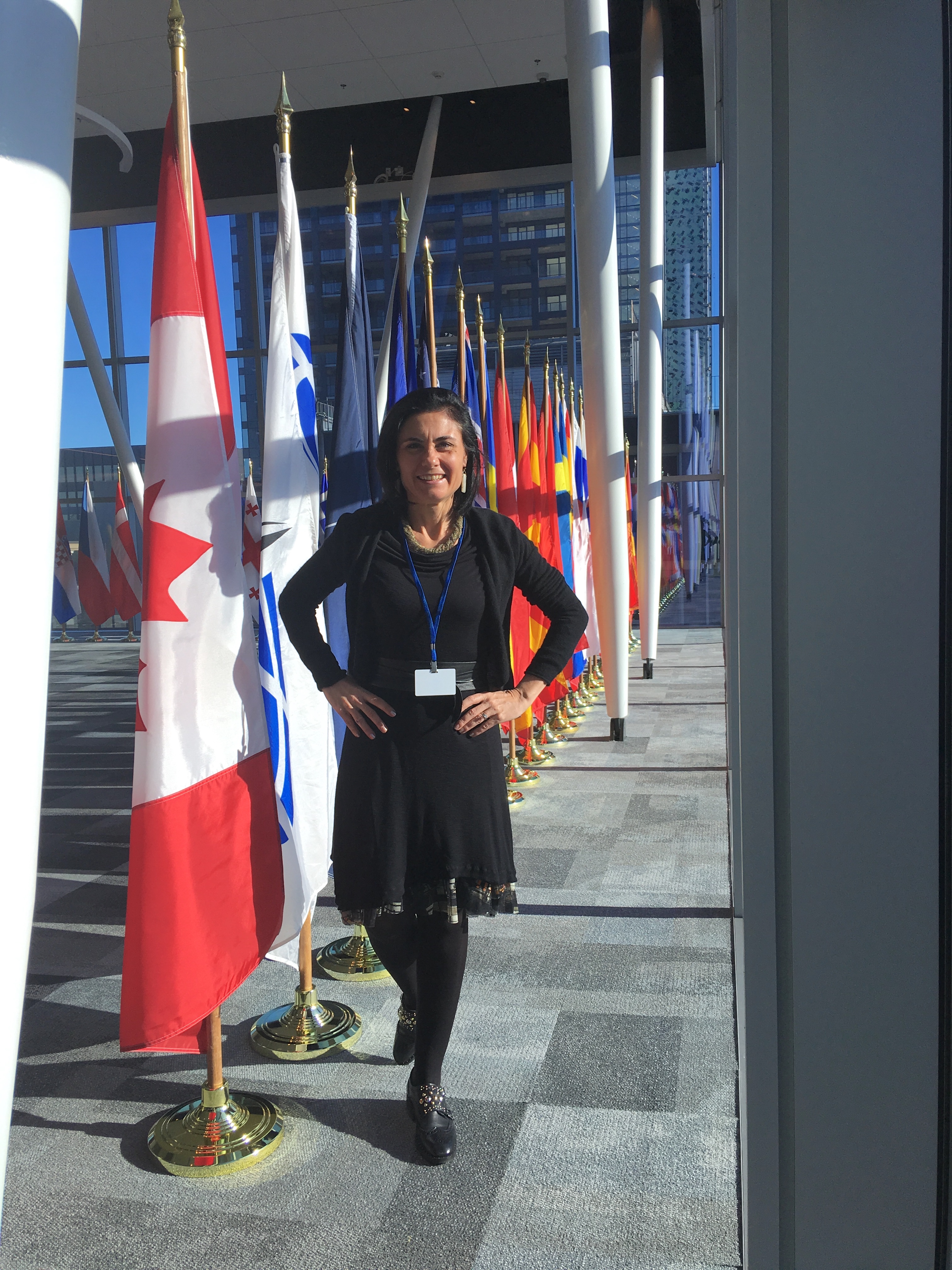 NATO Parliamentary Assembly