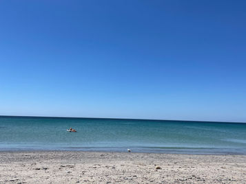 What Unexpected Delightful Moments Did You Have Over The Summer?