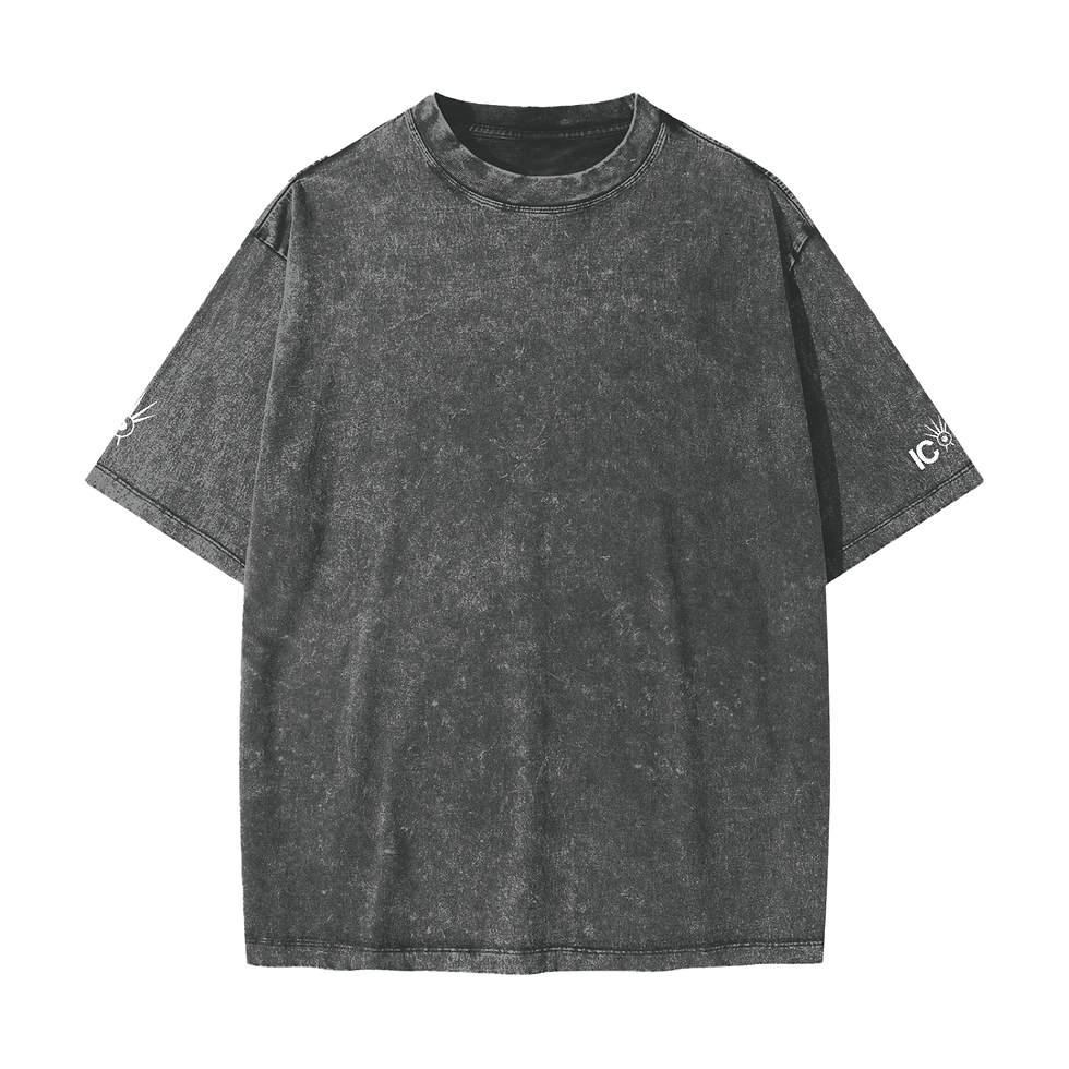 Thumbnail: Iconic | Heavyweight Snow Washed T-Shi
